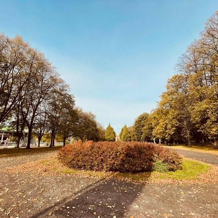 Apartamenty Ktw Silesia City Center - Park Slaski Katowice Eksteriør billede