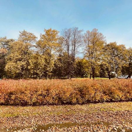 Apartamenty Ktw Silesia City Center - Park Slaski Katowice Eksteriør billede