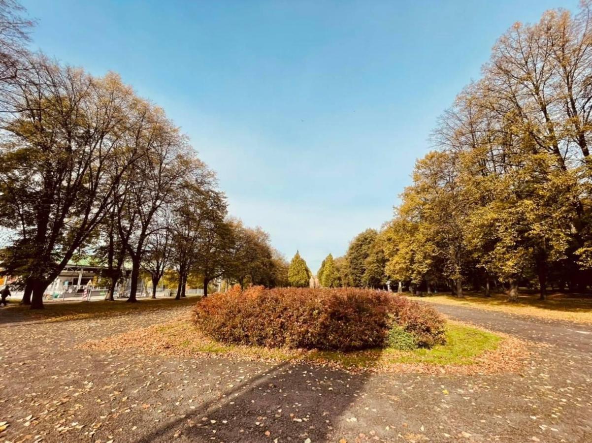 Apartamenty Ktw Silesia City Center - Park Slaski Katowice Eksteriør billede
